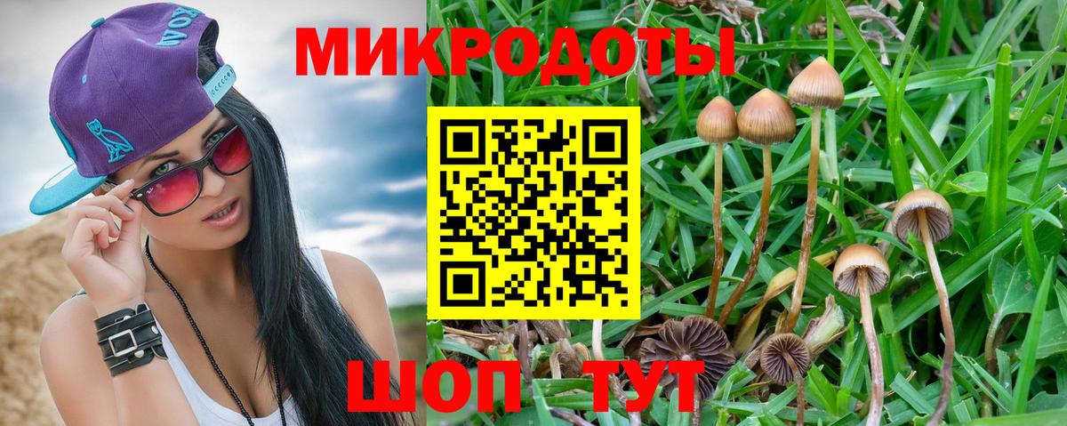 Галлюциногенные грибы Сафоново