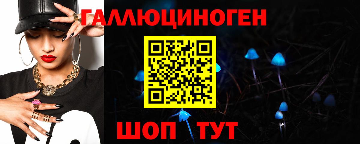 Псилоцибиновые грибы Cubensis  Вход с VPN  Сафоново 